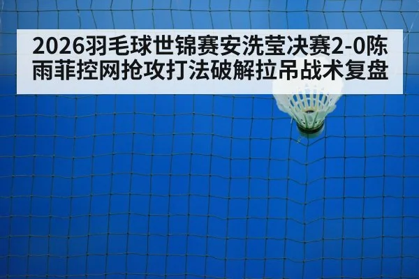 badminton net play